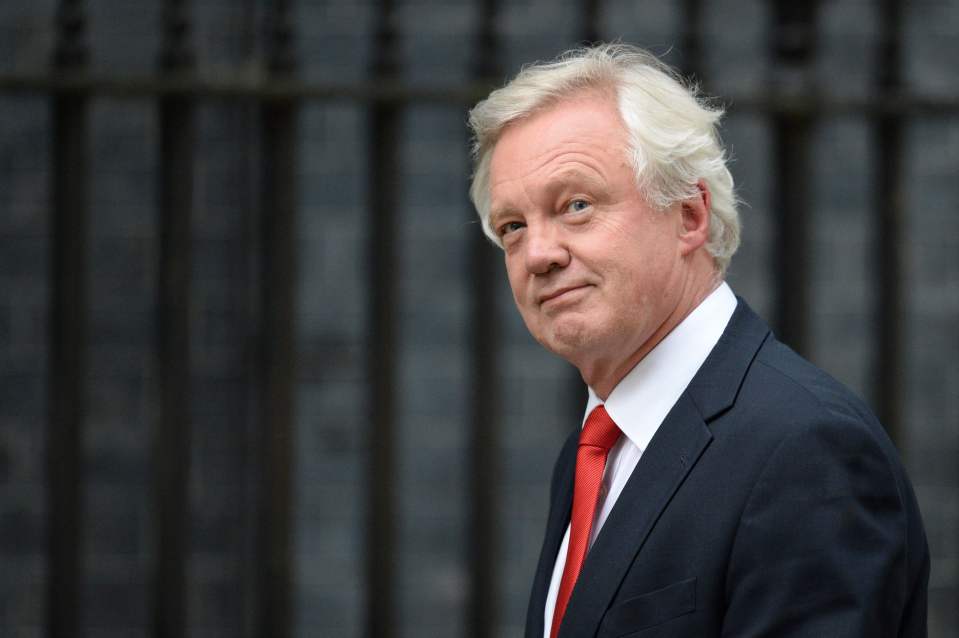  As Brexit Minister David Davis is in charge of the negotiations between Britain and the European Union which will take place after Theresa May triggers Article 50