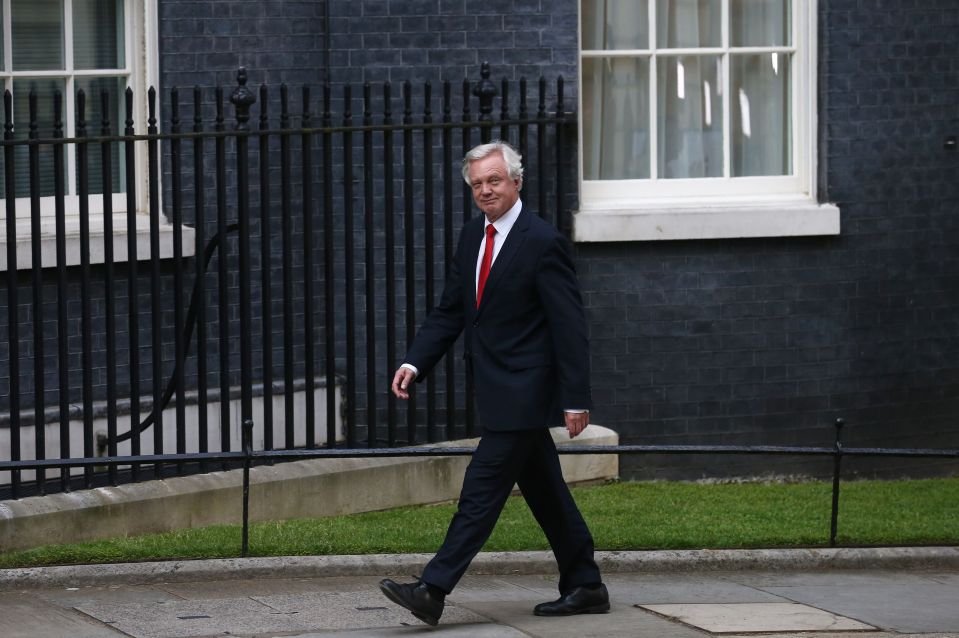  David Davis was on the Leave side during the EU referendum campaign and has now been named as the Brexit Minister