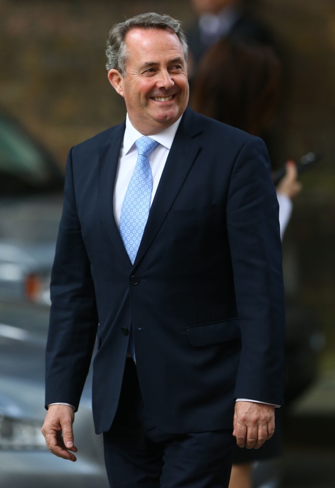  Liam Fox has a lot to smile about after being back on the front benches as International Trade Secretary