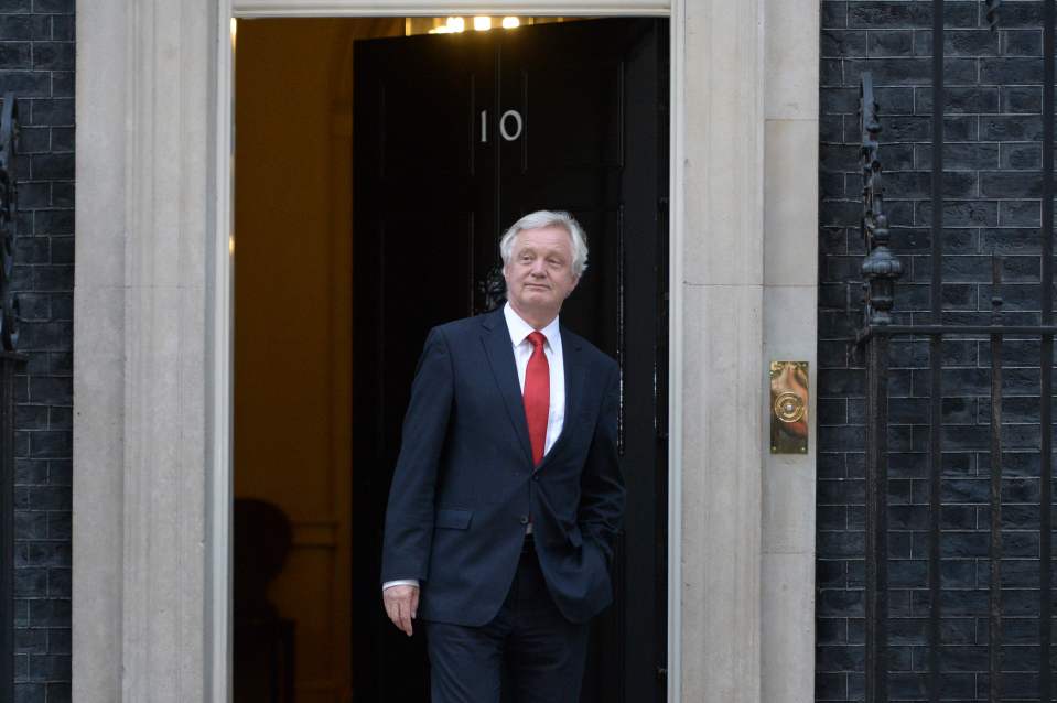  Newly appointed Secretary of State for Exiting the European Union David Davis leaves Downing Street looking pleased with himself