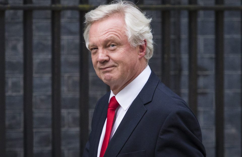  "What are they going to do, throw us out?"...Brexit Minister David Davis