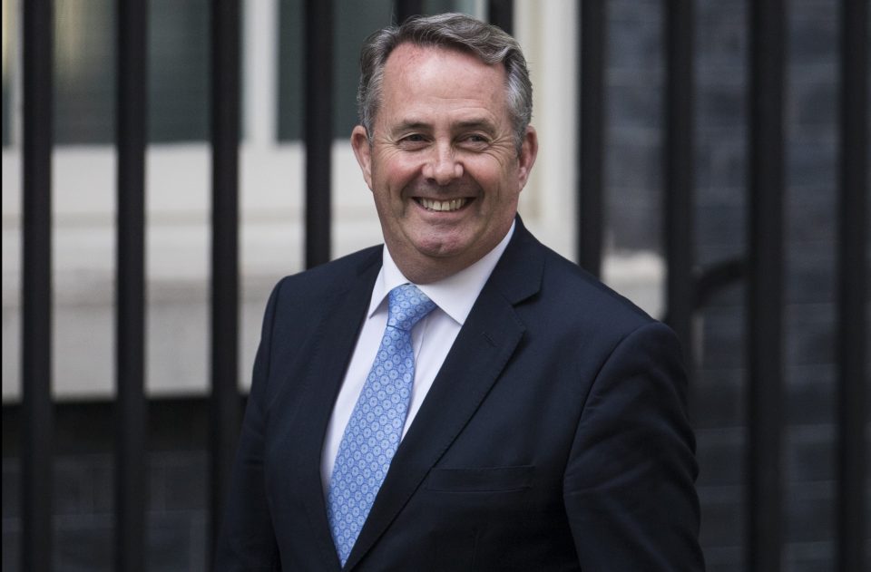  The working class Thatcherite will be a champion for Brexit in the campaign to leave the UK alongside big beasts like Liam Fox