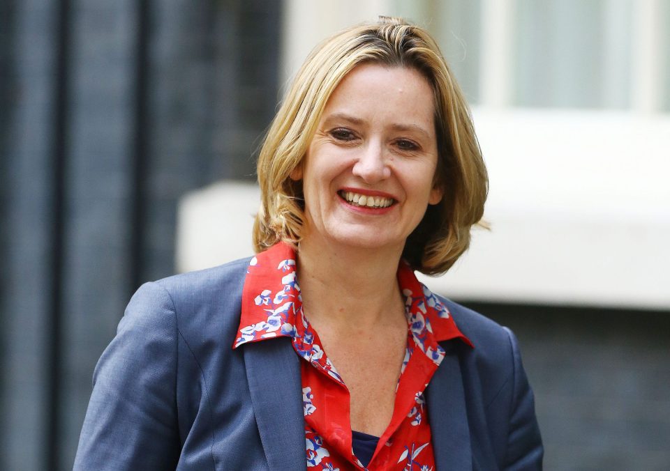  Rudd-y marvellous ... flaxen-haired Amber is new Home Secretary, but how much of that is down to her sandy-coloured locks?