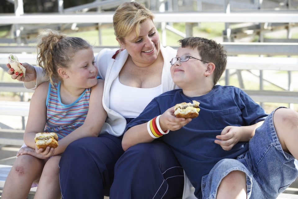  Warning ... a third of UK children aged two to 15 are obese already