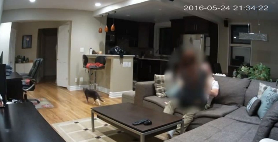  A pet sitter got bit on the behind when his make-out session got caught on camera...and photos of his randy antics were emailed to the animal's owner