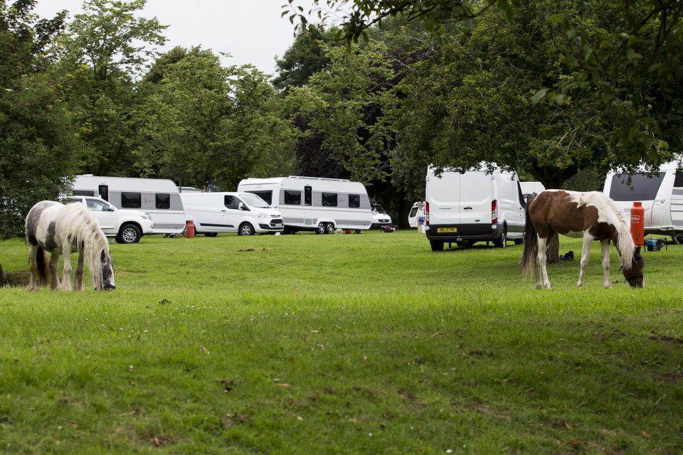  Travellers set up in Selly Oak Park and allowed their horses to roam around