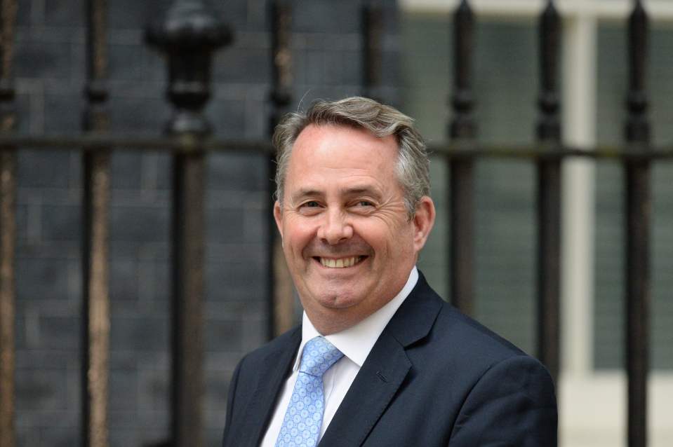  Liam Fox and others will not get on but the three must work together to get the best deal for the UK