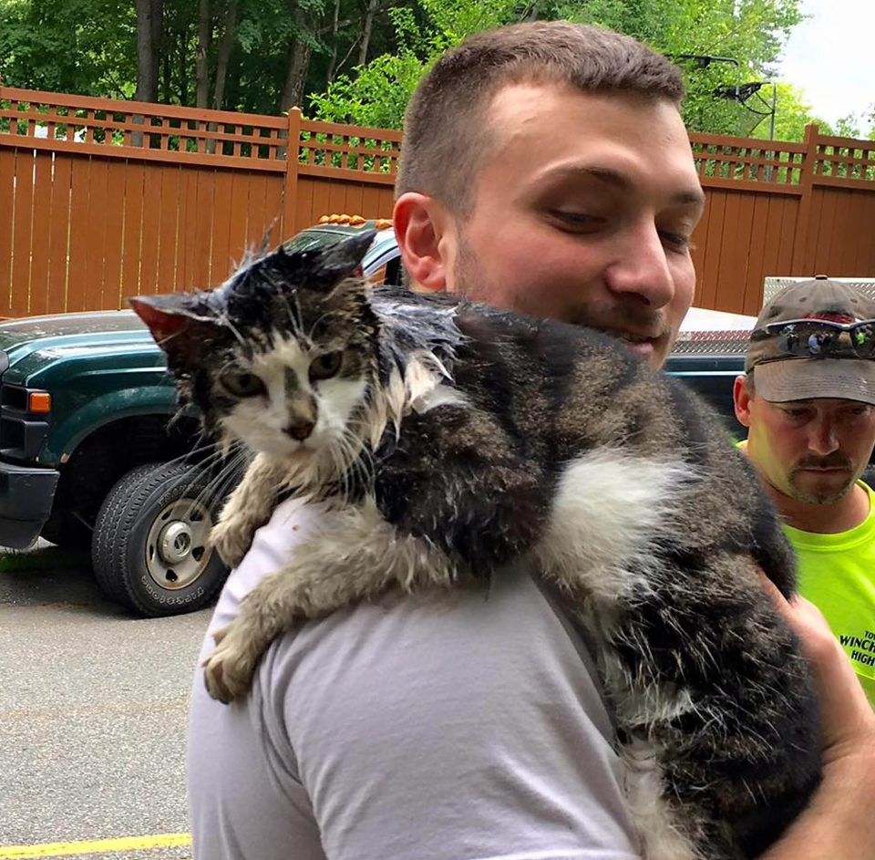  Free at last ... terrified cat looks distressed but safe after the ordeal in the drain