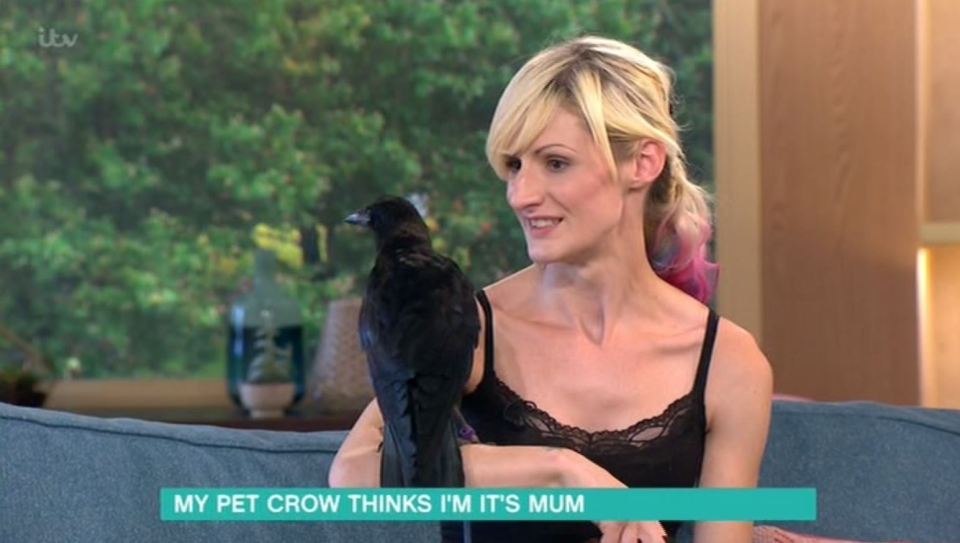  Vikkie Kenward brought her pet crow Fagan onto This Morning on Friday