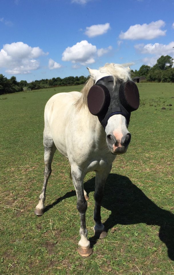  Eye love them ... Beatty's eye condition has kept her indoors, but now she can roam free