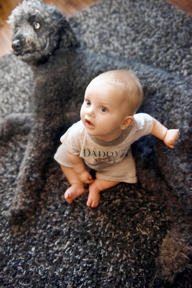  This adorable snaps shows why the family's beloved pooch Stanley is easily confused with the rug