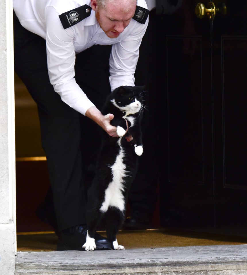  Met his match ... the mischievous moggy was turfed out by a police officer five minutes later