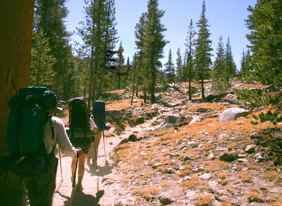  Yosemite is a haven for campers, climbers, and animal lovers