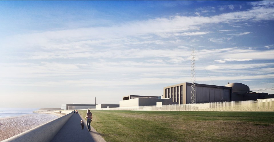  Mr Timothy said Chinese backers could cut off power 'at will' at Hinkley Point