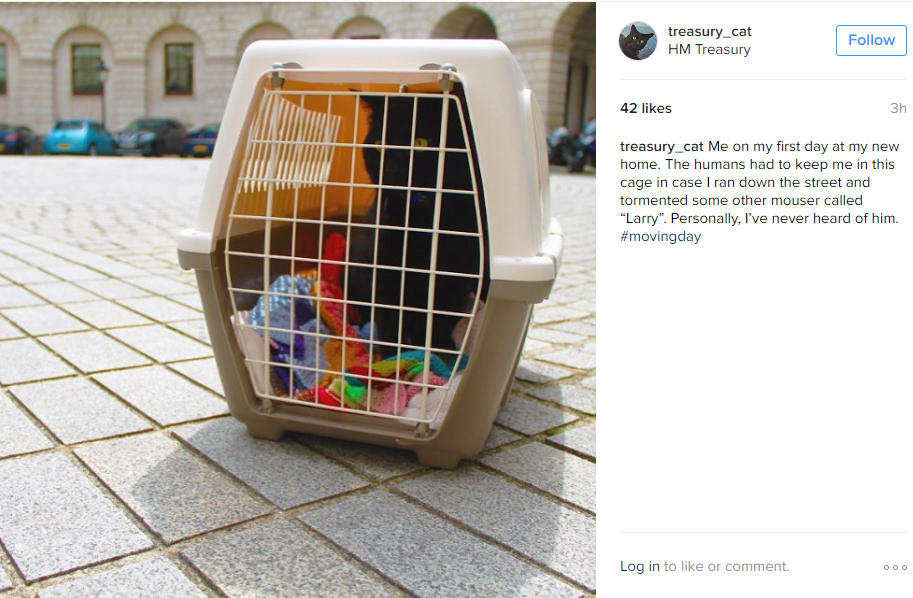  Gladstone the cat announced his arrival with a post on his official Instagram page