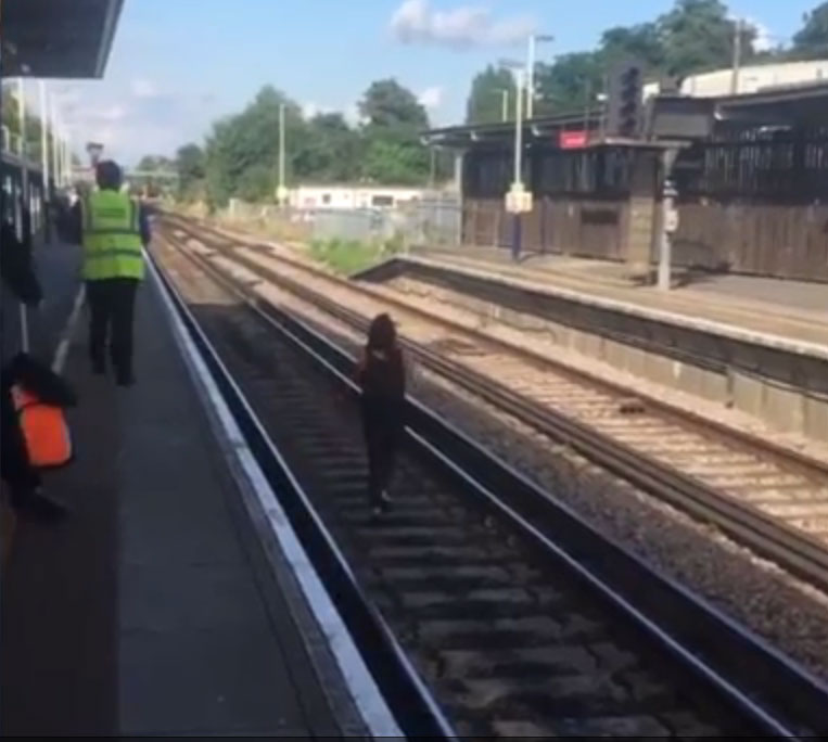  Train employees try and coax her to safety