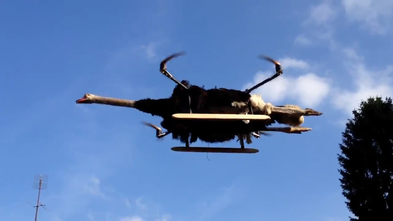  The Ostrichcopter is the inventor's most ambitious project yet, with the hefty craft capable of full flight