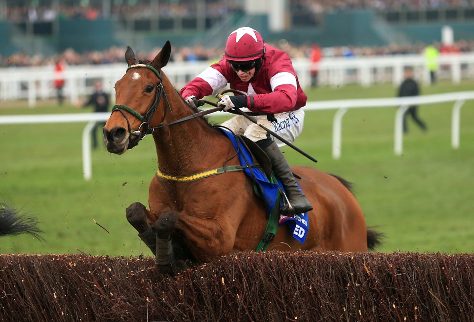  Road To Riches can take the Irish Gold Cup