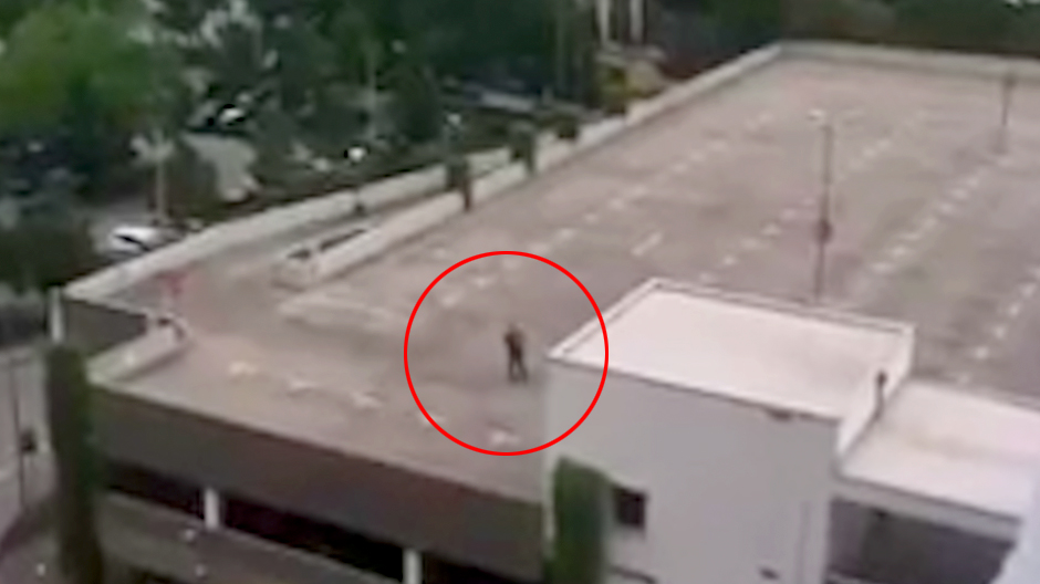  The killer was pictured on the rooftop of the Olympia shopping mall and appeared to be staggering around