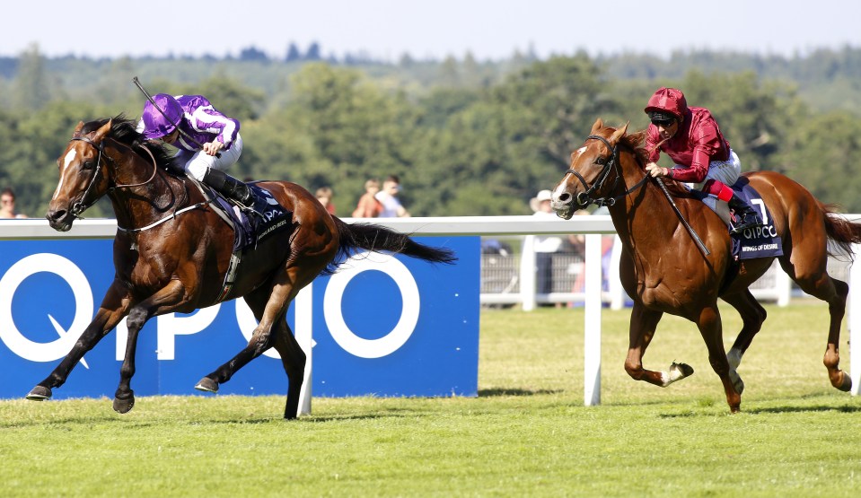  Highland Reel holds off the late challenge of Wings Of Desire