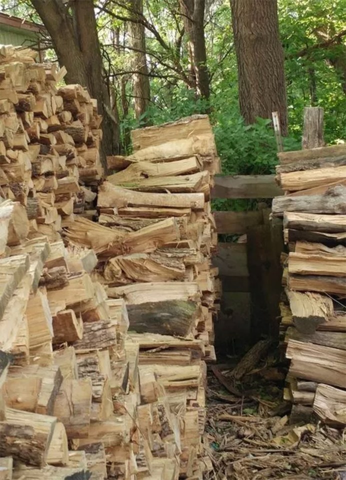  Believe it or not, there’s a cat sleeping in this picture – can you spot it?