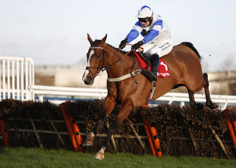 The comeback run of Barters Hill has been delayed