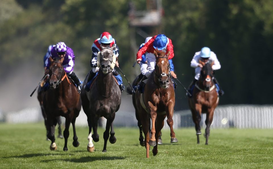  Zonderland (blue cap) storms to success at Salisbury