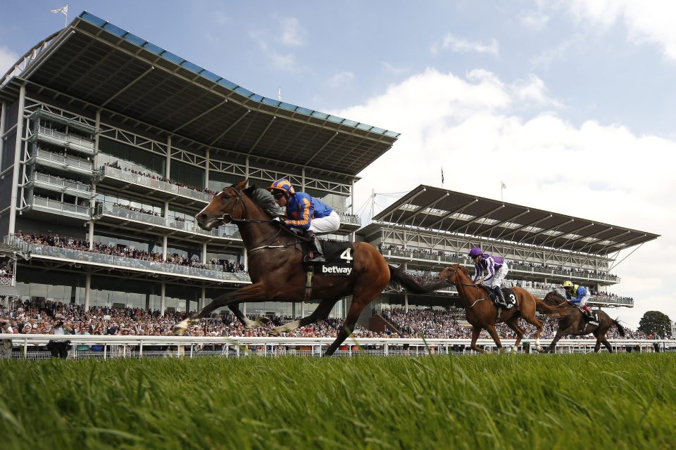  Idaho unseated his rider in the St Leger