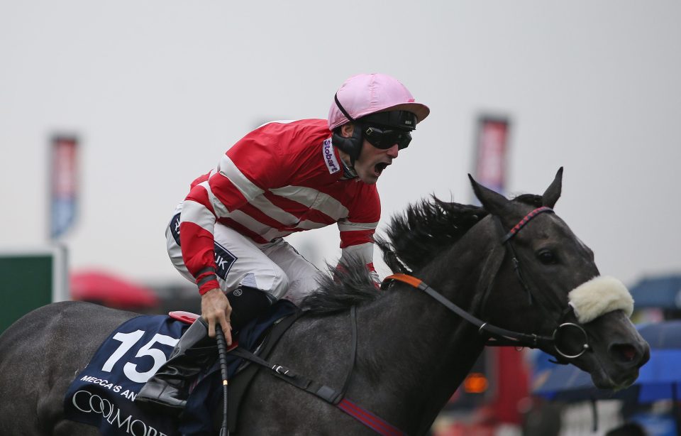  Mecca's Angel may only have one more run before she retires