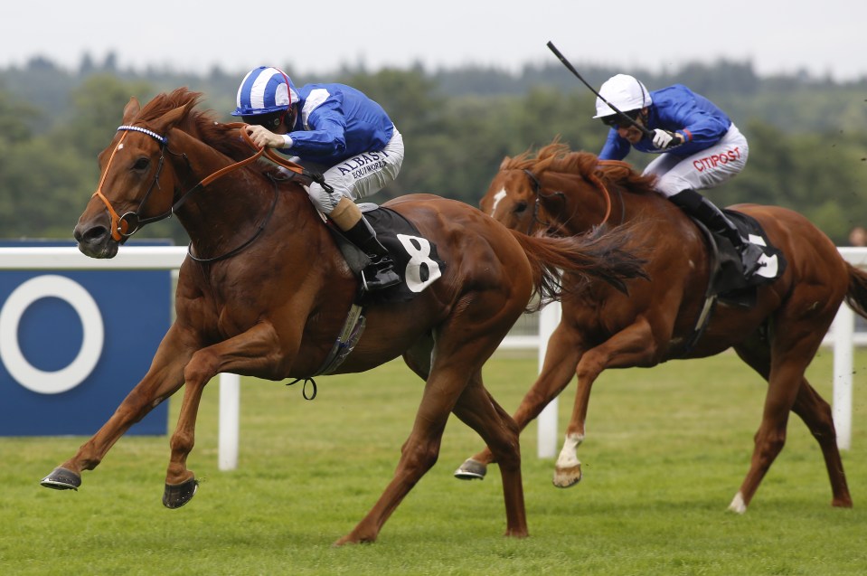 Mutakayyef (left) wasn’t at his best in Dubai on the ground