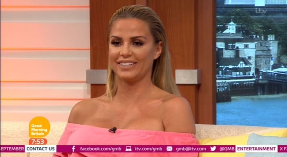  Katie Price would like to resume her singing career