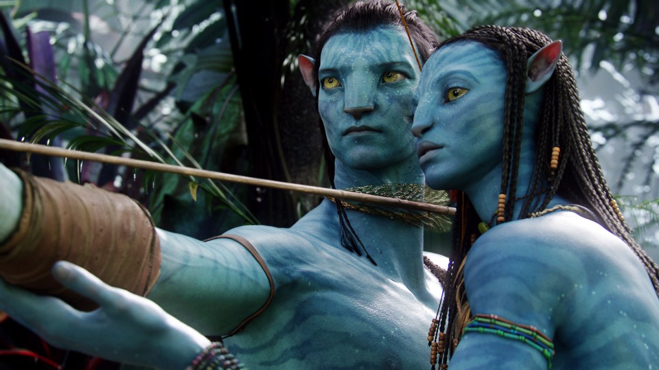  The firm invested in films such as Avatar