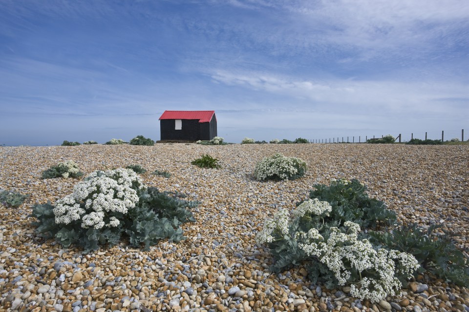  The beach at Rye, near to where the plane came down into the sea off the Sussex coast