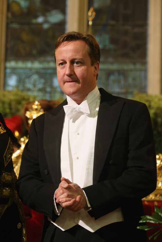  Last hurrah...Cameron's latest list of peers will place an even heavier burden on the taxpayer's purse