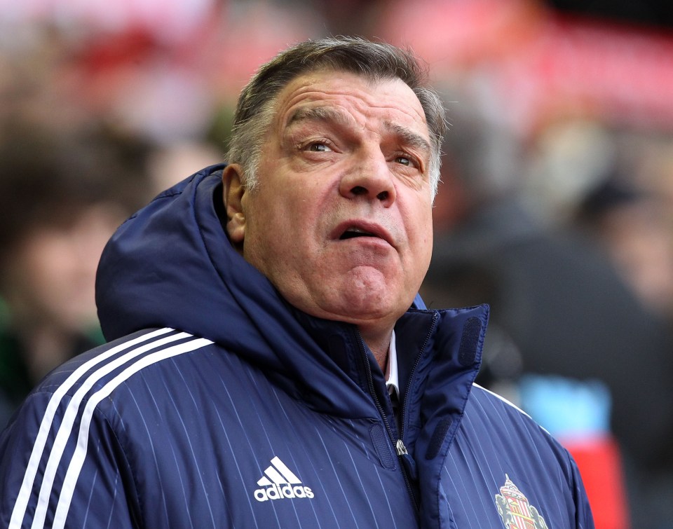  Former Sunderland boss Sam Allardyce pulled off a great escape last season