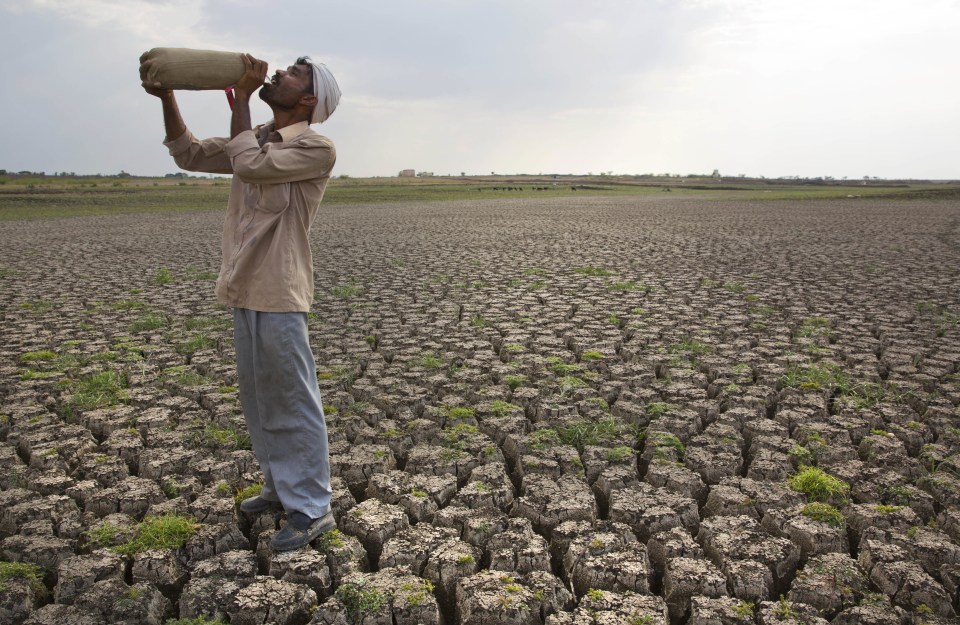  Parched conditions can be deadly for livestock and people alike, especially in rural communities