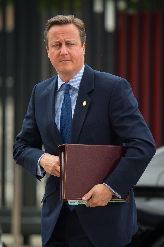  David Cameron's resignation honours list has been described as an 'unfortunate lapse of judgement'