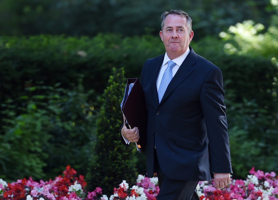  Dr Liam Fox is asking for what he believes is a 'rational restructuring' of the Foreign Office with some parts transferred to his department