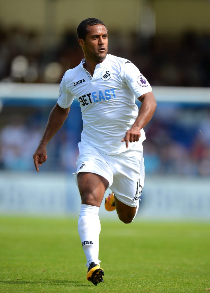  Wayne Routledge is a target for Gianfranco Zola