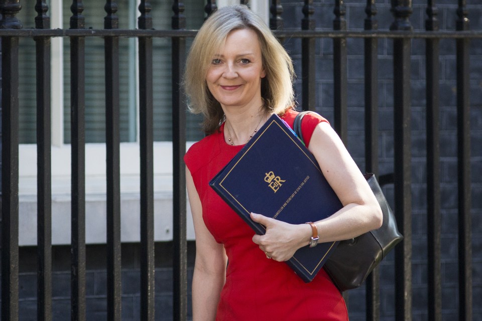 Theresa May Chairs Her First Cabinet Meeting As UK Prime Minister