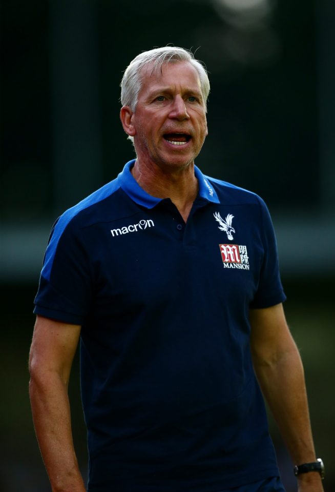  Alan Pardew is keen to land at least two strikers this summer