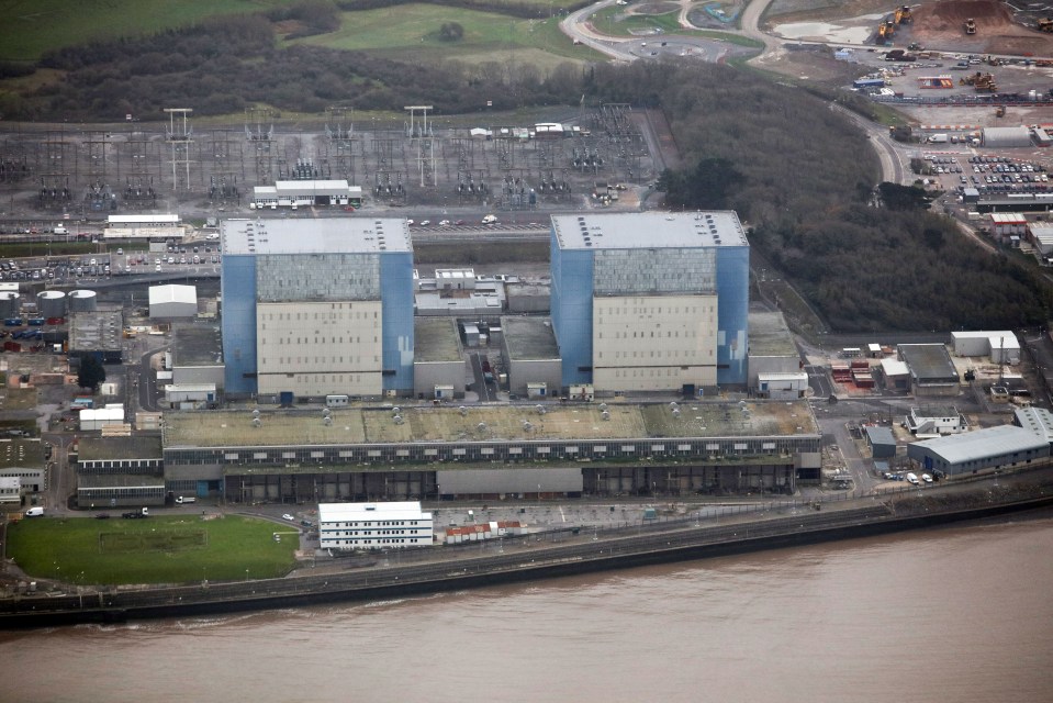  Heavy-weight Tories Lord Hague and Lord Heseltine have both backed Theresa May's decision to review the Hinkley Point deal