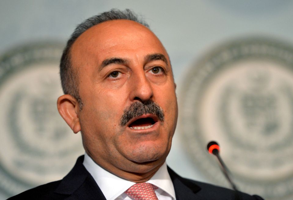  Turkish Foreign Minister Mevlut Cavusoglu said Turkey wanted more support from NATO