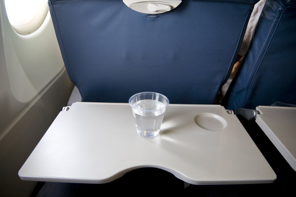  The tray table can be riddled with bacteria