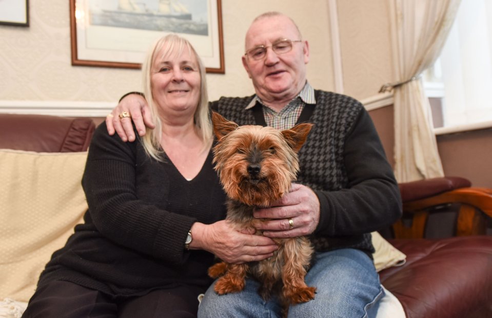  Jack leaves behind owners Ray and Mary Bunn of Hartlepool after he died from injuries after being attacked by another dog