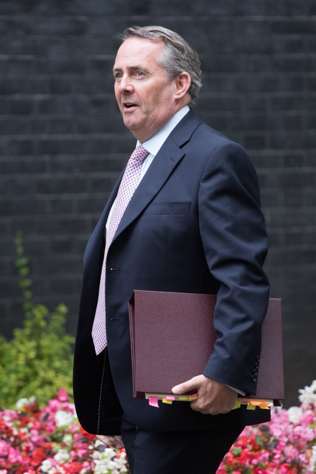  Not so sly . . . International Trade Secretary Liam Fox