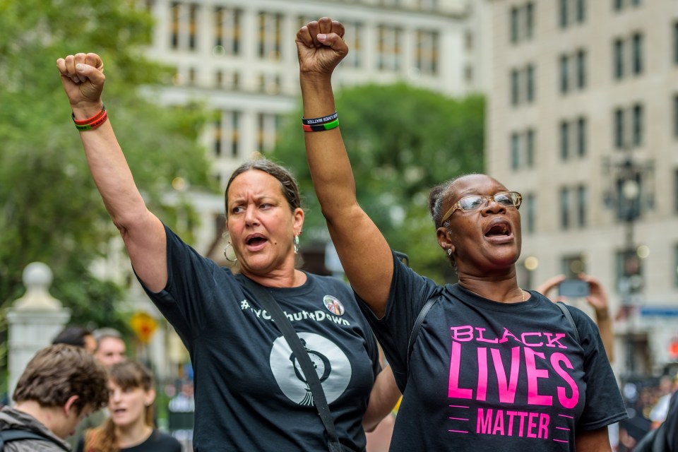  The fatal 2014 shooting of Michael Brown in Ferguson, Missouri sparked protests and civil unrest