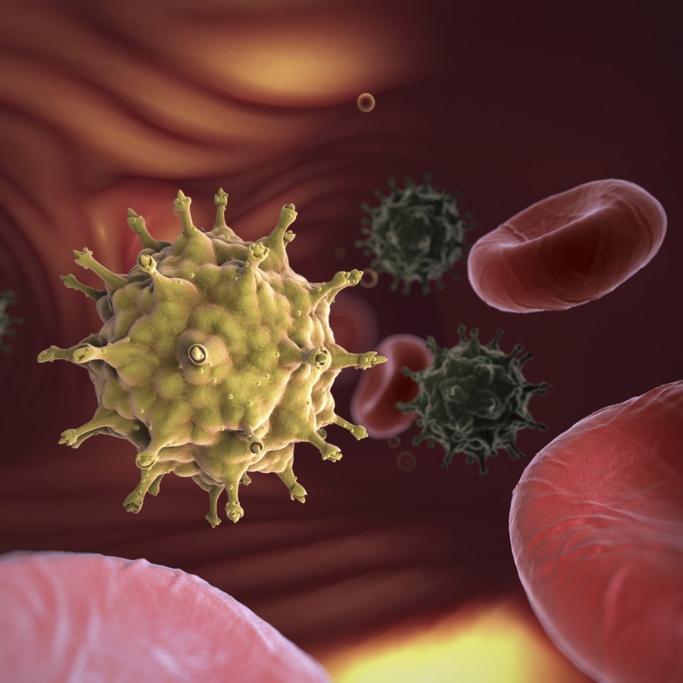  A conceptual view of HIV within the bloodstream. Prep works by blocking the enzyme that would otherwise allow HIV to replicate itself