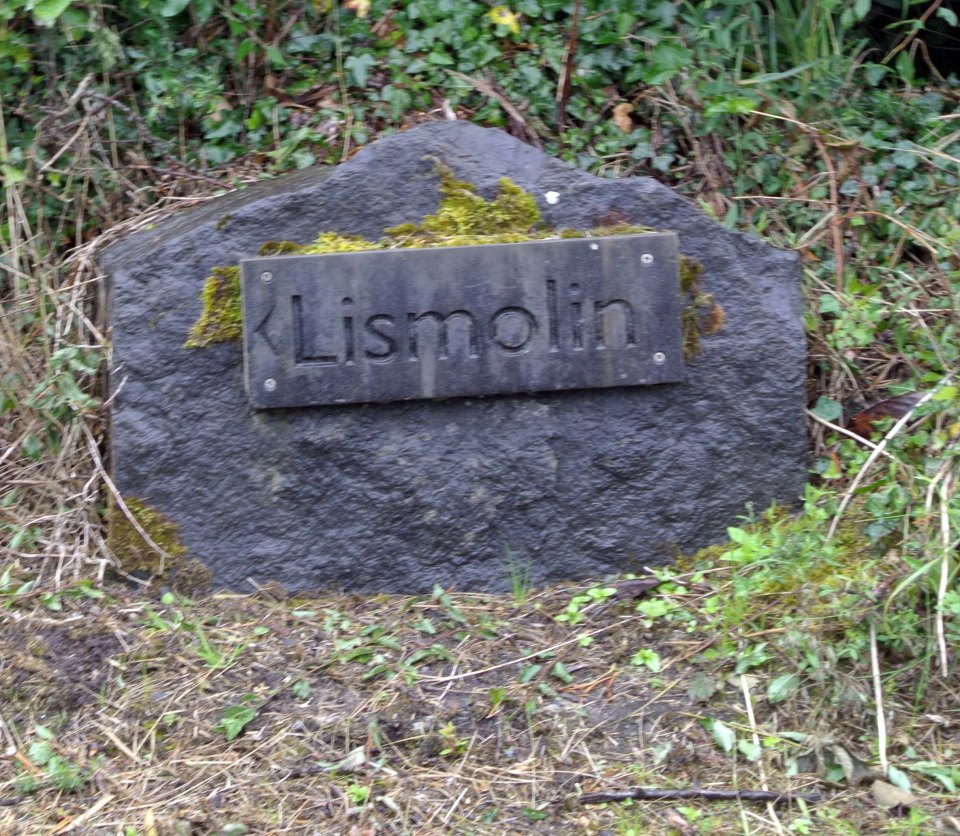  The eight-year-old's distraught family were being comforted at home in Lismolin, Islandeady, Co Mayo, on Tuesday night