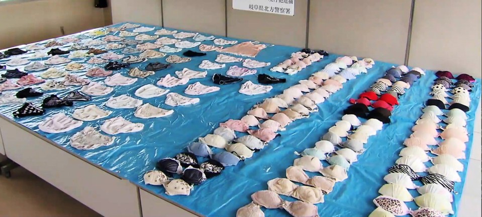 A 63-year-old farmer is accused of stealing the women's underwear